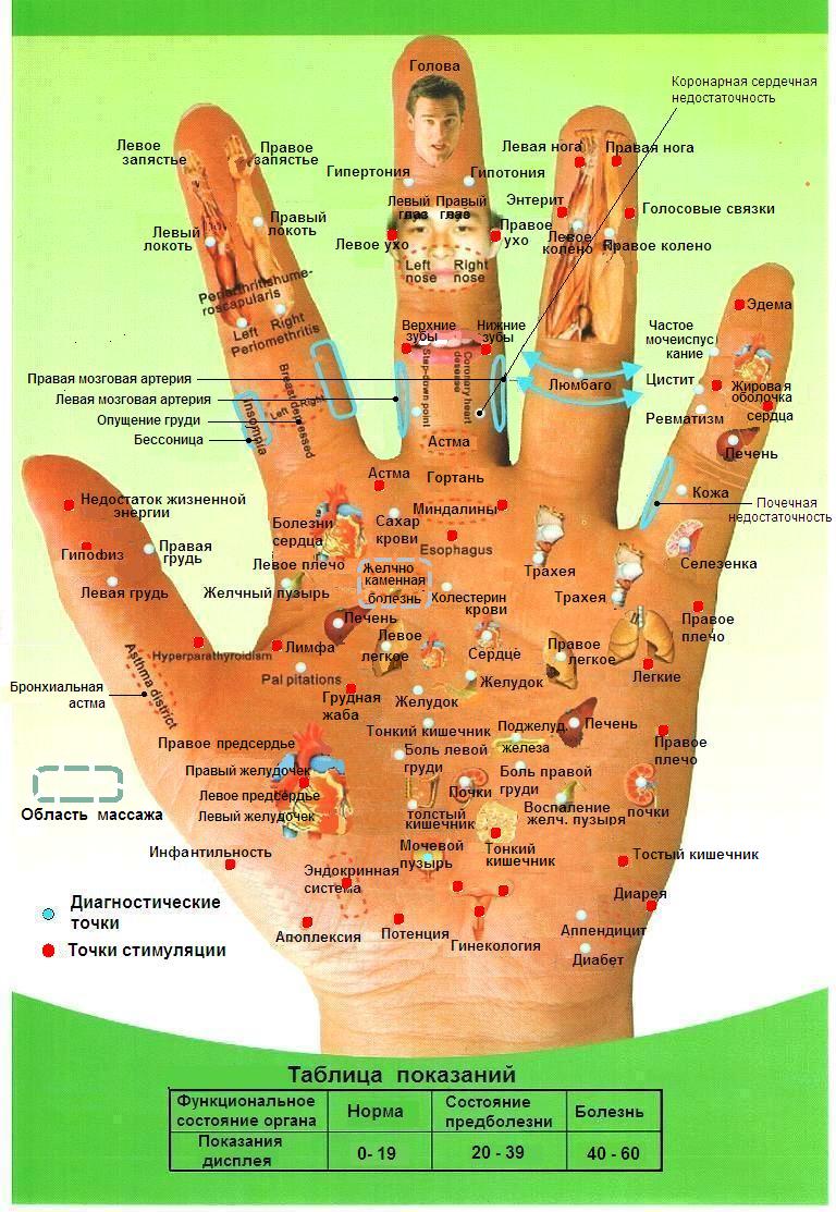 схема акупунктурных точек на руке