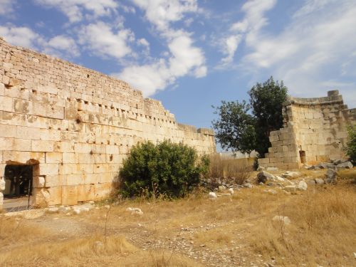 peshera_ray_ad_astma_20