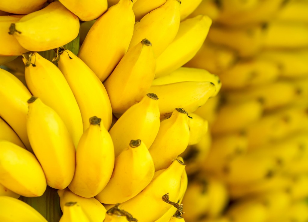 Bunch of ripe bananas background