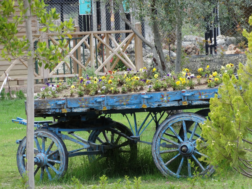 Mersin - Tarsus Hayvanat Bahçesi - Hayvan Parkı (123)