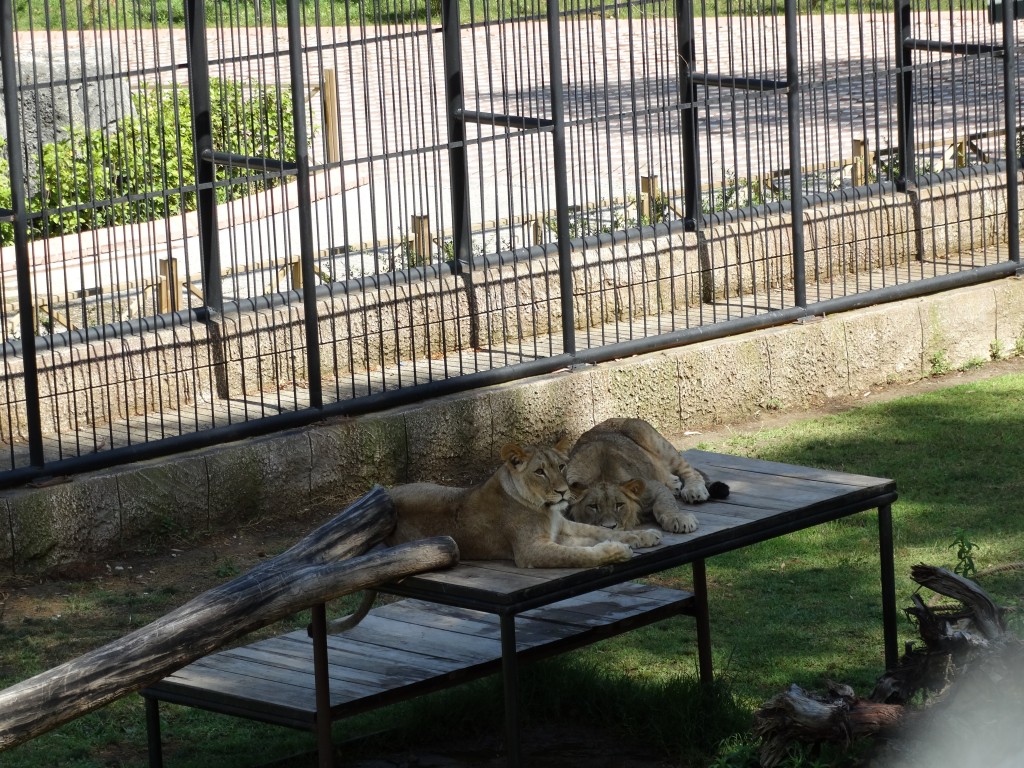 Mersin - Tarsus Hayvanat Bahçesi - Hayvan Parkı (90)