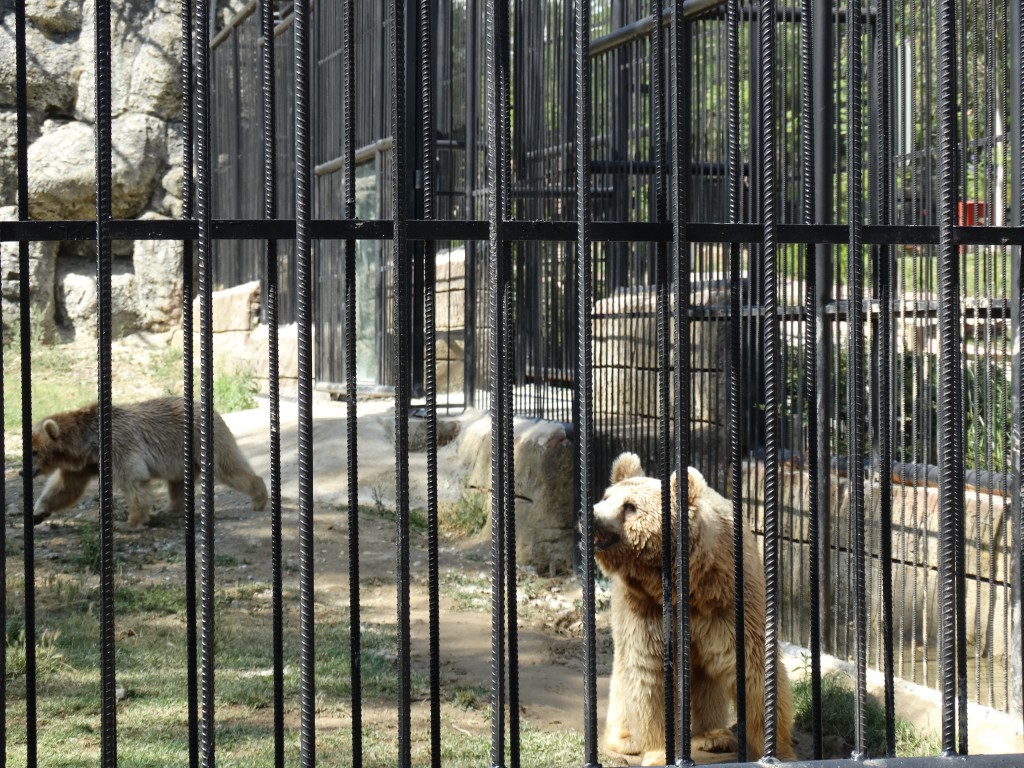 Mersin - Tarsus Hayvanat Bahçesi - Hayvan Parkı (96)