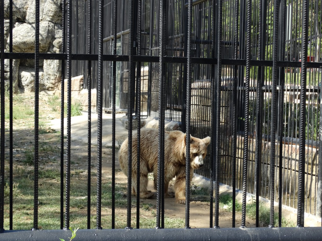 Mersin - Tarsus Hayvanat Bahçesi - Hayvan Parkı (97)