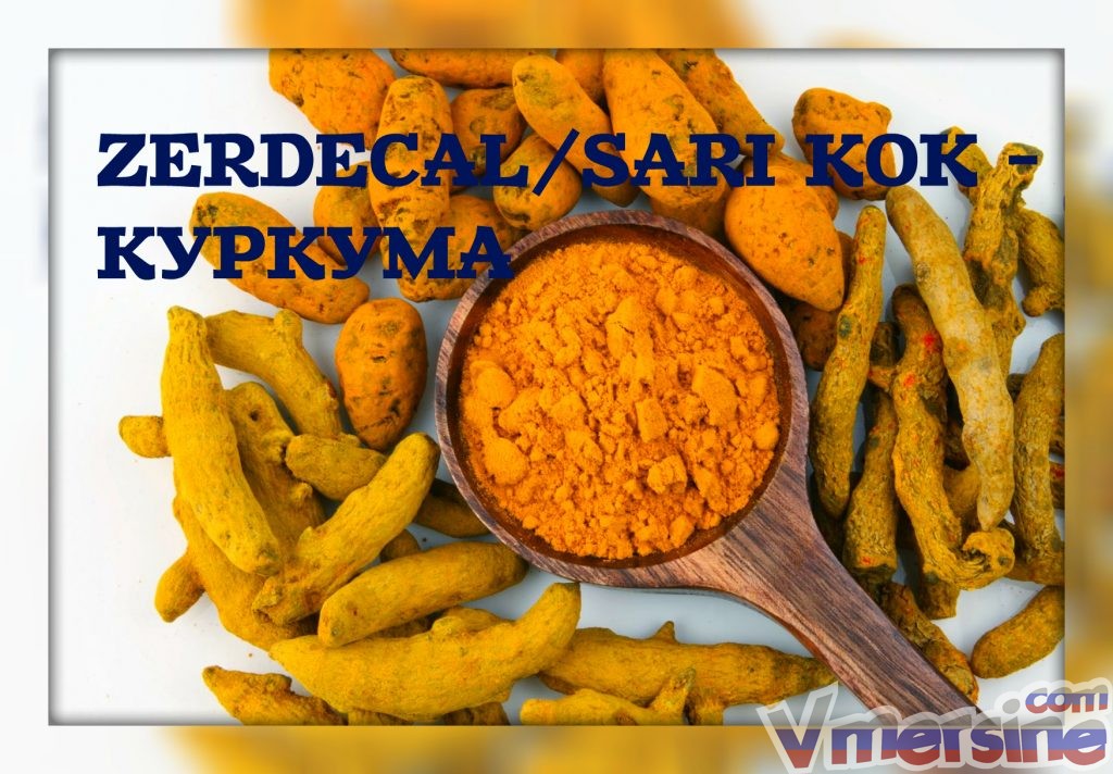 Тимьян на турецком языке