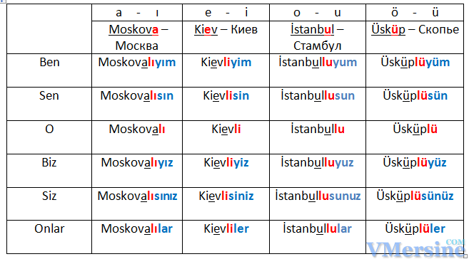 Как будет Член по-турецки