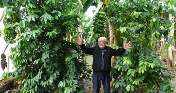 Впервые садовод из Мерсина вырастил кофейные деревья | VMersine.com